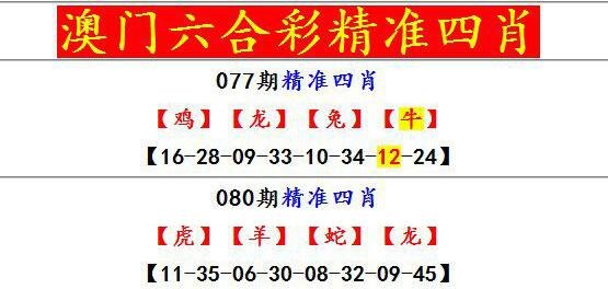 新澳门精准资料网站,最新热门解析实施_精英版121,127.13