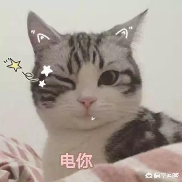 免费高清av在线观看