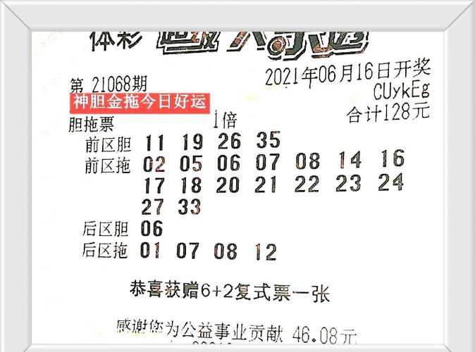 新澳门今晚开奖结果开奖号码查询和600一节课教狗如厕与