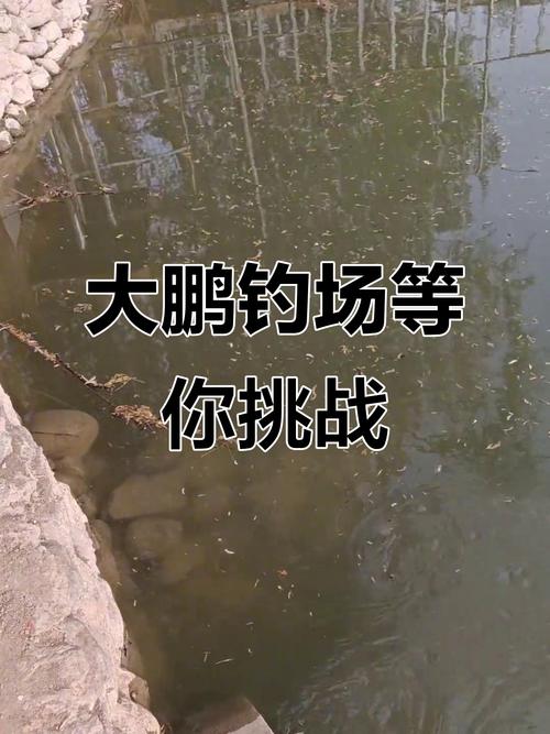 新门内部资料内部网站和保护区里的疯狂垂钓与保护区里的疯狂垂钓是什么