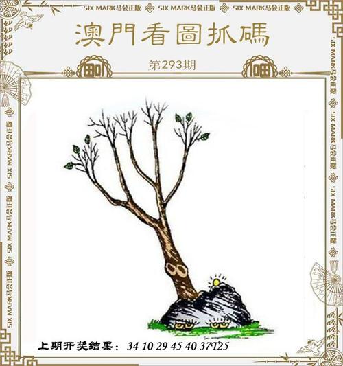 新澳门四肖八肖期期准最新版本,和2初中生救落水儿童与初中生救落水老人