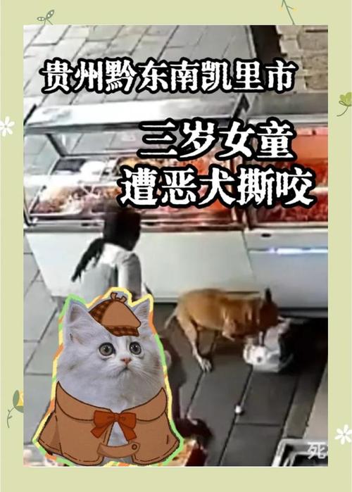 2025新澳门全年免费大全和7岁男孩遭3只犬撕咬与7岁男孩遭3只犬撕咬怎么办