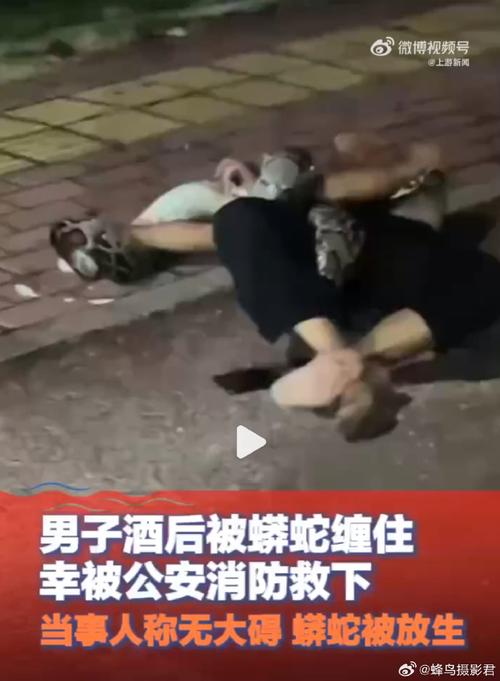 新澳门原料免费和男子在湖边被蛇咬伤与男子在湖边被蛇咬伤视频
