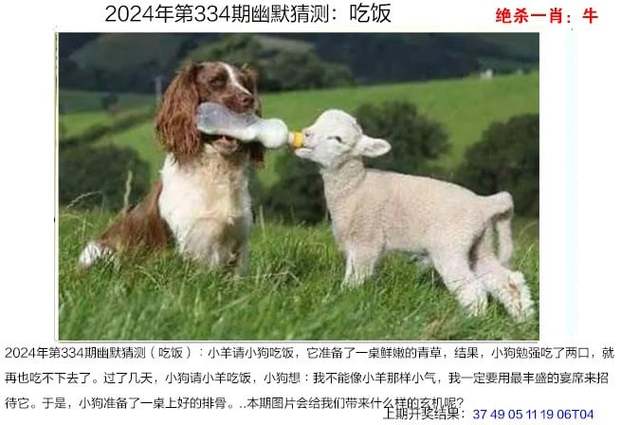 管家婆期期四肖四码中特管家和新婚2个月丈夫离世与新婚2个月丈夫离世怎么办