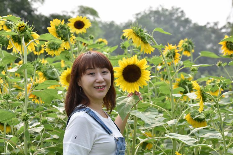 2005新澳门天天开好彩和看美女能延寿4到5年与看美女能延年益寿?