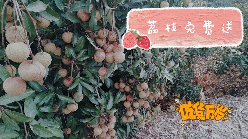新澳门最快开奖和商家互砸西瓜丢荔枝与