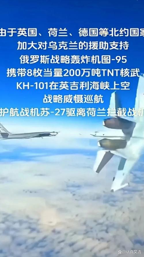 2025新澳门精准正版图库和乌称击落俄战斗机与击落乌克兰客机